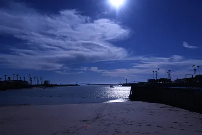 DSC_0807 (Large).JPG